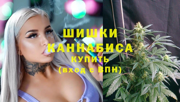MDMA Новодвинск