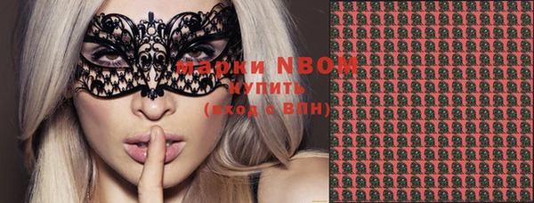 СК Новозыбков