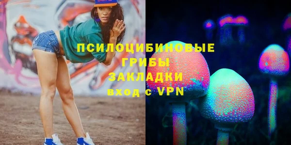MDMA Новодвинск