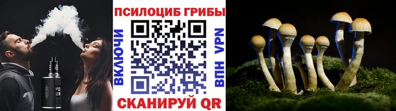 Галлюциногенные грибы MAGIC MUSHROOMS darknet как зайти Рассказово