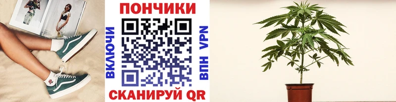 Бошки марихуана Ganja Рассказово